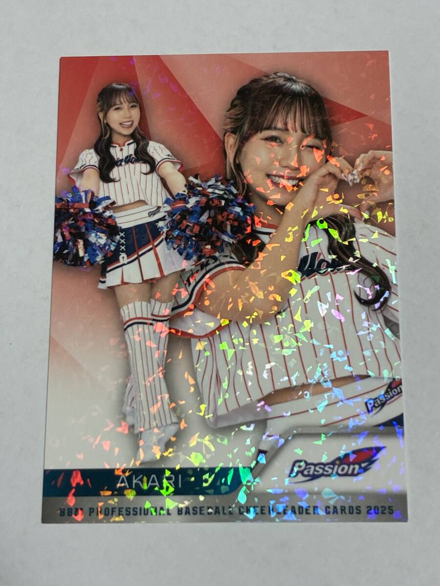 AKARI 2025 BBM チアリーダー ホロPPパラレル ホロパラレル ヤクルト Passion 即決拍卖