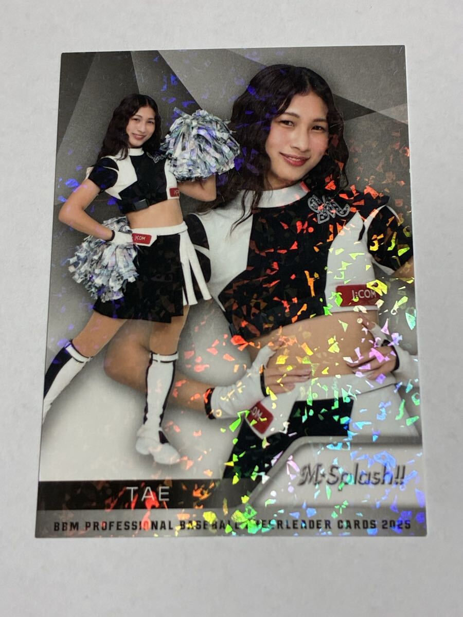TAE 2025 BBM チアリーダー ホロPPパラレル ホロパラレル ロッテ M☆Splash!! 即決拍卖