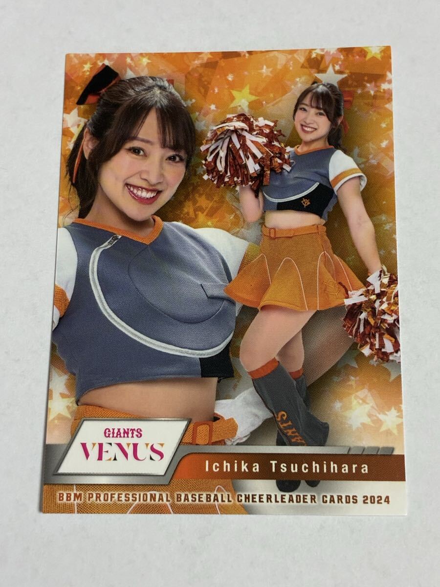 土原一花 2024 BBM チアリーダー レギュラーカード 巨人 読売ジャイアンツ VENUS 即決拍卖
