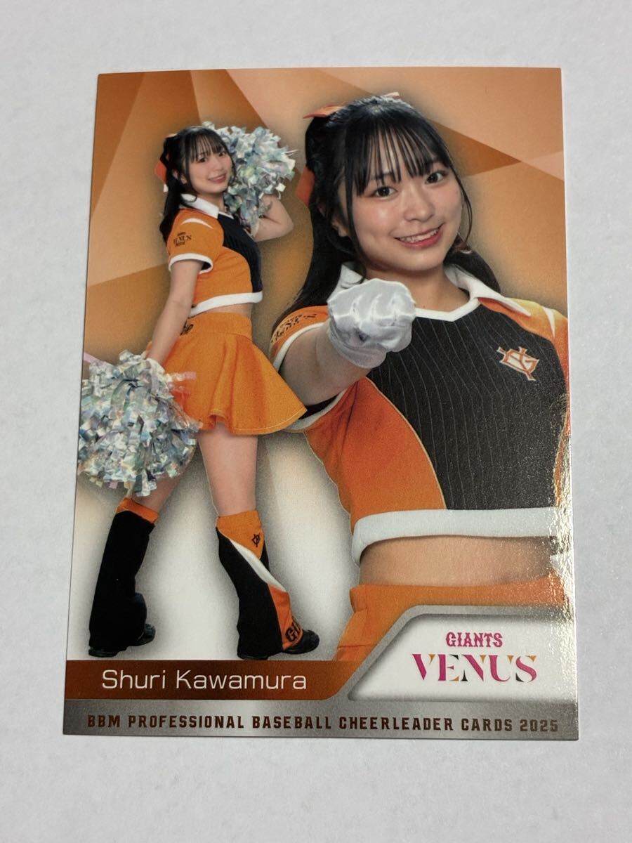 川村珠利 2025 BBM チアリーダー レギュラーカード 巨人 読売ジャイアンツ VENUS 即決拍卖