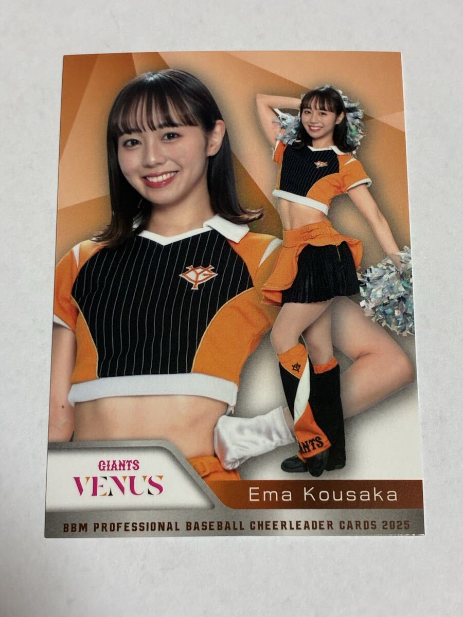 高坂咲舞 2025 BBM チアリーダー レギュラーカード 巨人 読売ジャイアンツ VENUS 即決拍卖
