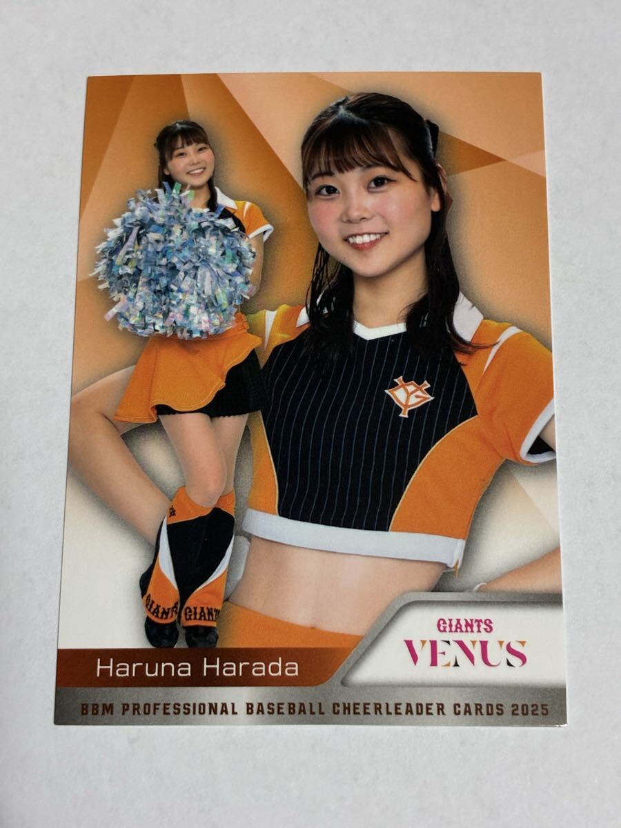 原田遥南 2025 BBM チアリーダー レギュラーカード 巨人 読売ジャイアンツ VENUS 即決拍卖