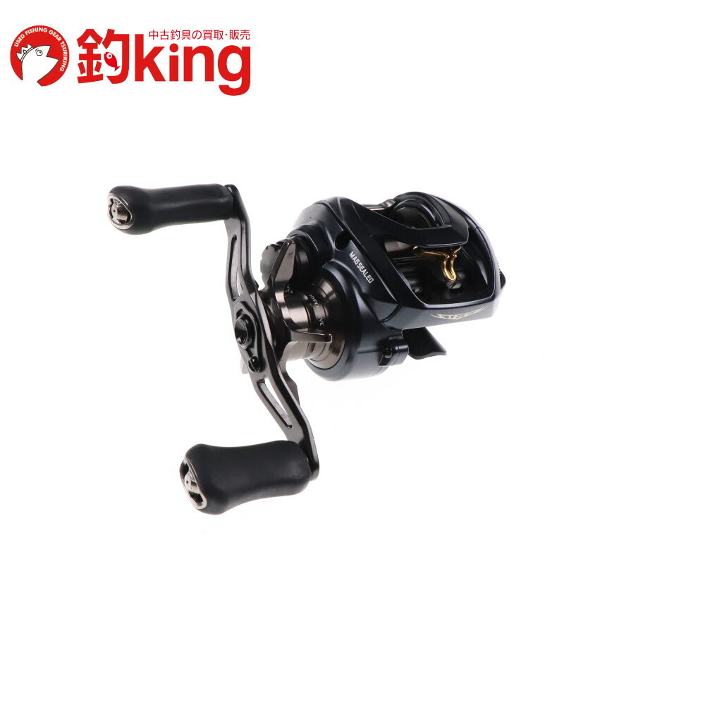 ダイワ 23 スティーズ AII TW 1000H /W060M 美品 ブラックバス バス バス釣り ベイトリール 小型拍卖