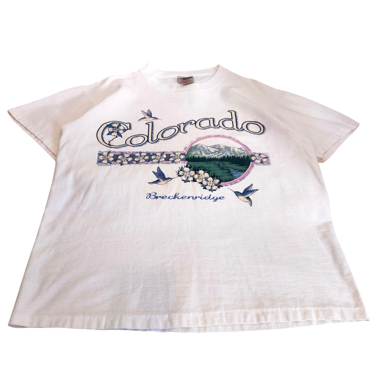 古着 oneita 半袖Tシャツ コピーライト シングルステッチ 90s アメリカ製拍卖