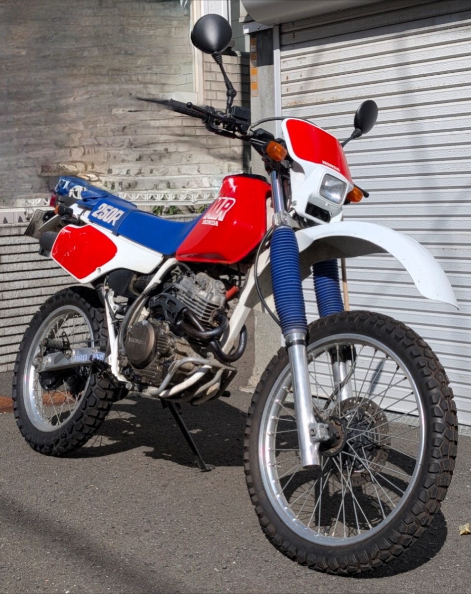 「動画有★札幌★ワンオーナー実走行 4500km代★ホンダ XLR250R ★MD20★実動」拍卖
