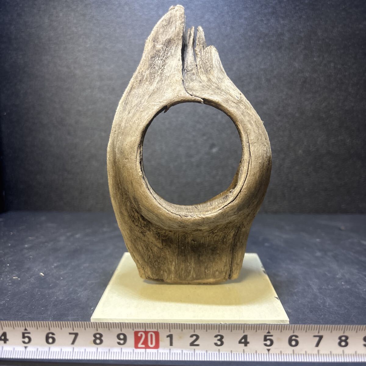 ☆sea tree☆送料無料♪♪アクリル板施工済み流木 32流木/水槽/アクアリウム/テラリウム/インテリア/ADA/サンゴ/置物/拍卖