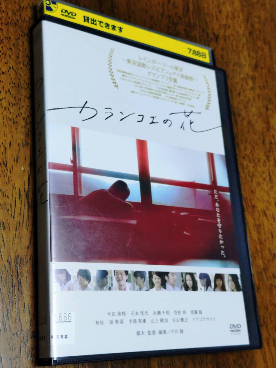 ◎DVD「カランコエの花」今田美桜/笠松将/石本径代/永瀬千裕/イワゴウサトシ 東京国際レズビアン&ゲイ映画祭グランプリ R落拍卖