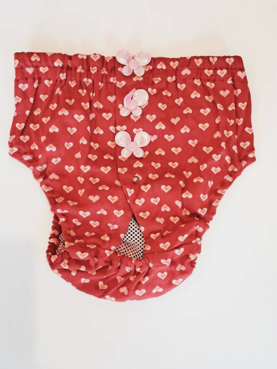 キャンナナ サニタリーパンツ 4Lサイズ ①拍卖