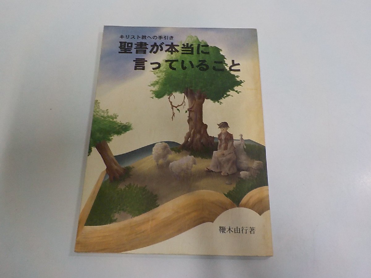 17V3861◆聖書が本当に言っていること キリスト教への手引き 鞭木由行 NOA企画出版 シミ・汚れ有☆拍卖