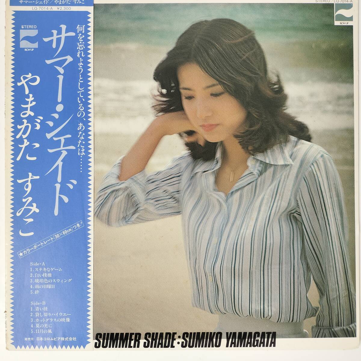 55697 美盤 やまがたすみこ / サマーシェイド 帯付拍卖