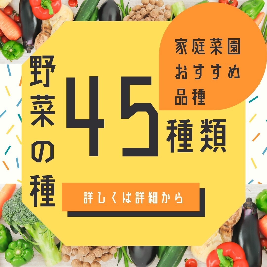 【匿名便】野菜の種 全45種類!1年中蒔ける オールシーズン 超バリエーションセット固定種拍卖