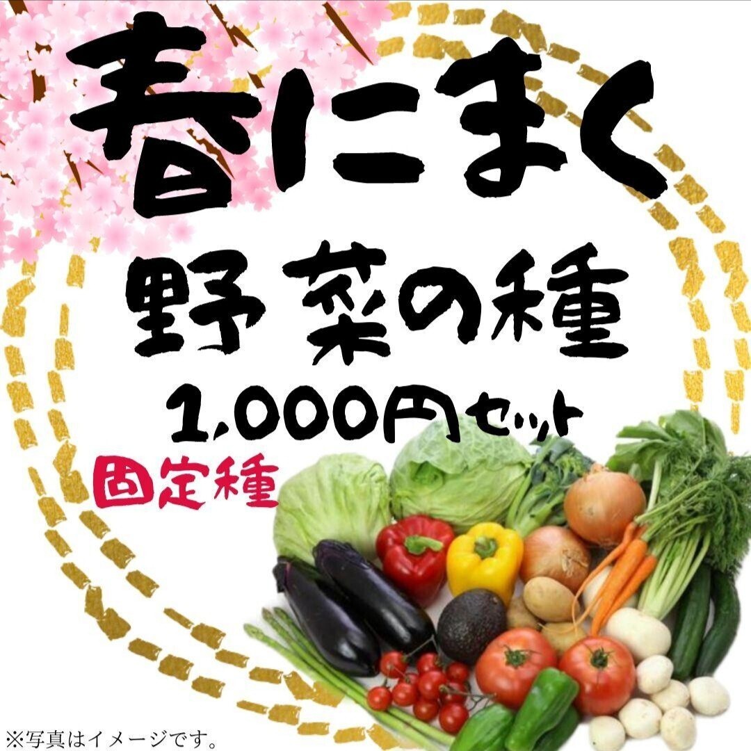 【匿名便】春にまく野菜の種 1,000円セット【2025年 春】 固定種  初心者でも簡単  春にまく野菜の種セット 匿名便のため+100円拍卖