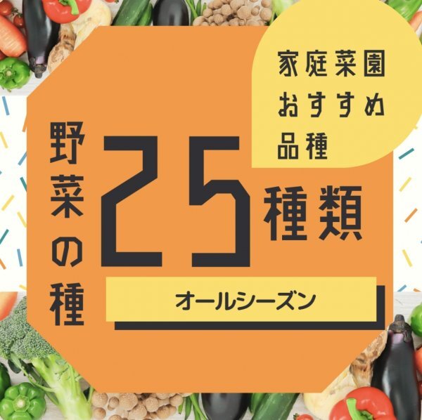 家庭菜園 はじめての25種セット!季節を問わず楽しめる 野菜の種 固定種拍卖