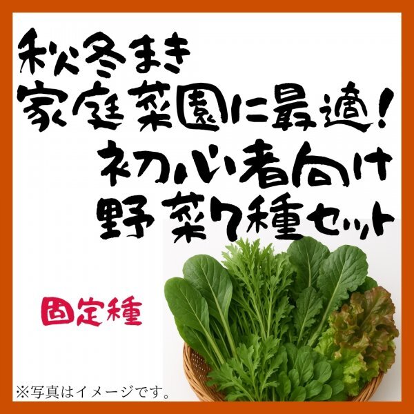 秋冬まき家庭菜園に最適!初心者向け野菜7種セット 500円拍卖