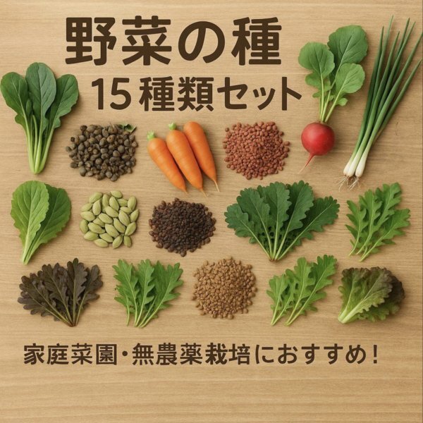 野菜の種 1,000円セット【2025年】家庭菜園・無農薬栽培におすすめ!  貴重な累代自家採種!ここが他とは違います!拍卖