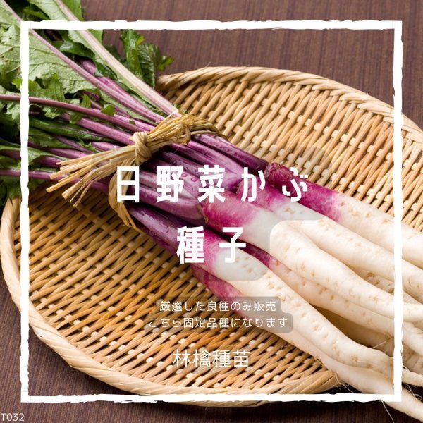 T32 家庭菜園でおすすめ品種 滋賀在来種 日野菜かぶの種 固定種 野菜の種 貴重な累代自家採種!ここが他とは違います!拍卖
