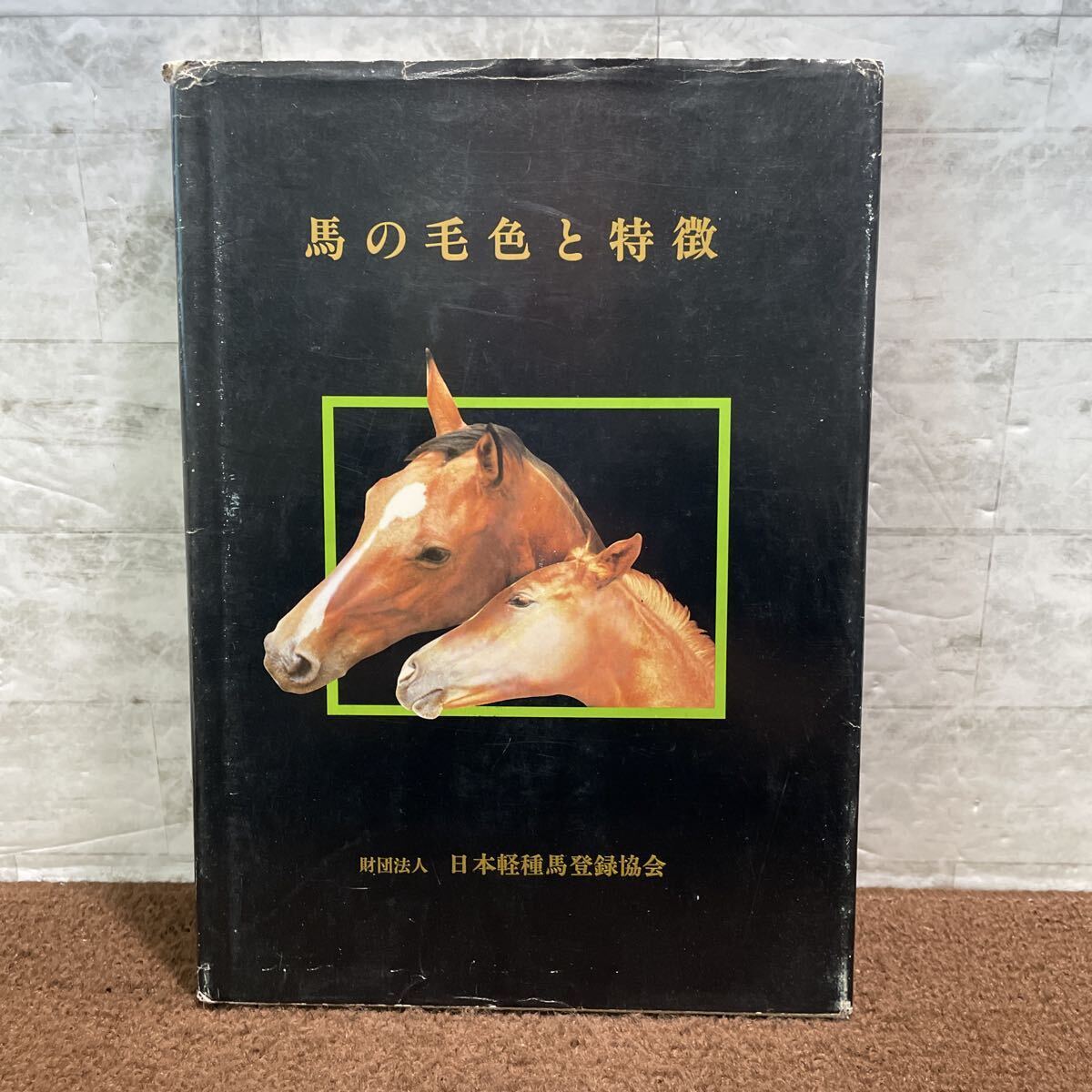 C02●馬の毛色と特徴 日本軽種馬登録協会 昭和54年 1979年 競馬 サラブレッド 競走馬 図鑑 馬体各部に名称 遺伝 250916拍卖