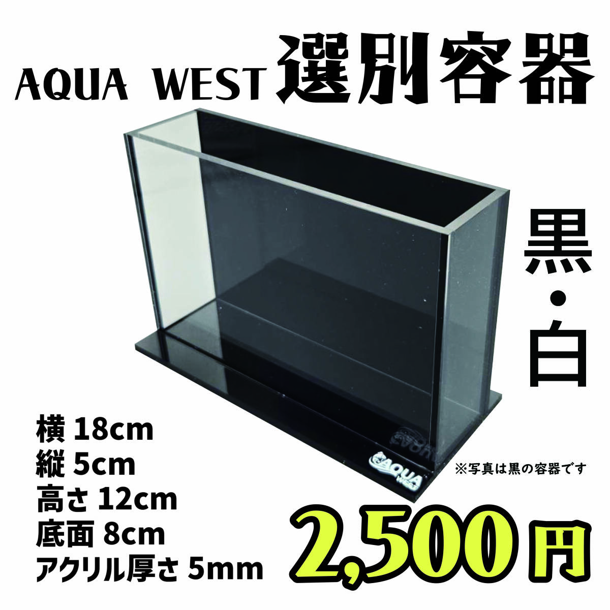 AQUA WEST 選別容器(C)★横見ケース 黒容器 白容器 めだか メダカ アクリル容器【日本改良めだか研究所】拍卖