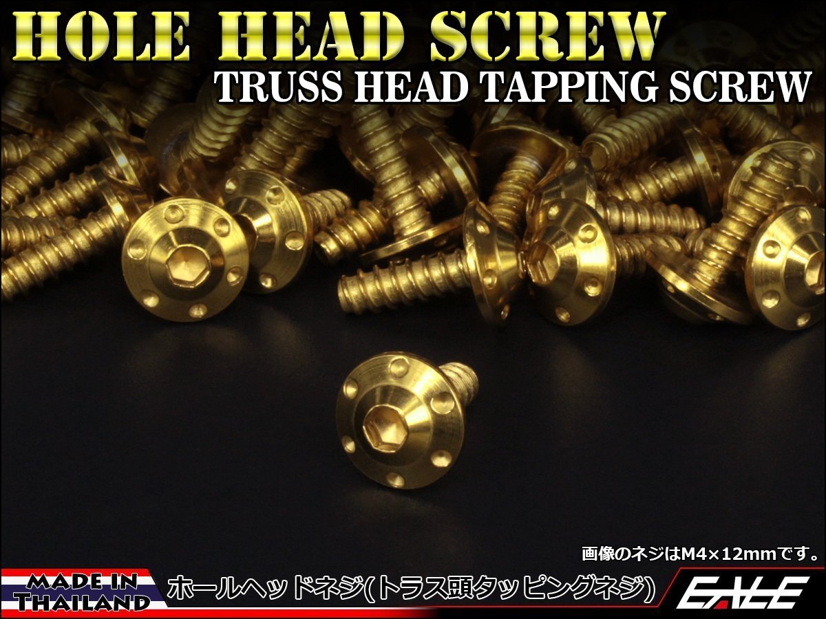M5×25mm SUSステンレス ホールヘッドネジ H-1 タッピングネジ トラス頭 フランジ カウルやパネルなどに ゴールド TC0115拍卖