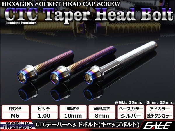 M6×100mm ステンレス 2色テーパーヘッドボルト キャップボルト クランクケース等エンジン周りに シルバー/焼チタンカラー TB0620拍卖