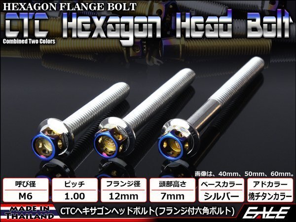 M6×55mm ステンレス 2色ヘキサゴンヘッドボルト 六角ボルト クランクケース等エンジン周りに シルバー/焼チタンカラー TB0670拍卖