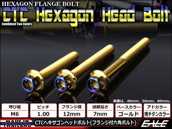 M6×80mm ステンレス 2色ヘキサゴンヘッドボルト 六角ボルト クランクケース等エンジン周りに ゴールド/焼チタンカラー TB0798拍卖