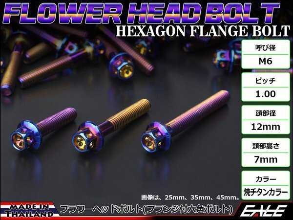 M6×35mm ステンレス フラワーヘッドボルト 六角ボルト クランクケース等エンジン周りに 焼チタンカラー TB0548拍卖