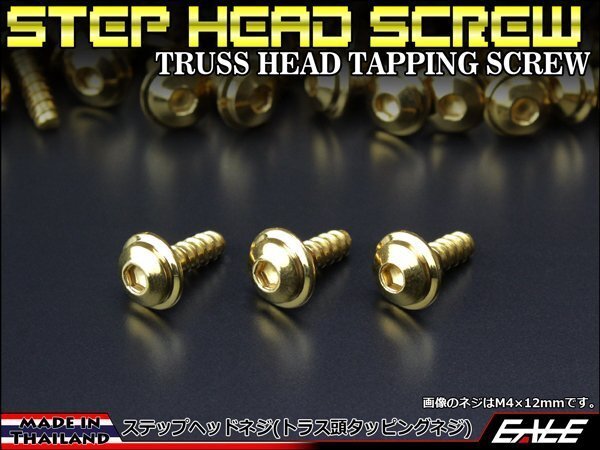 M5×25mm ステップヘッドネジ タッピングネジ ステンレス 削り出し トラス頭 カウルやパネルなどに ゴールド TC0040拍卖