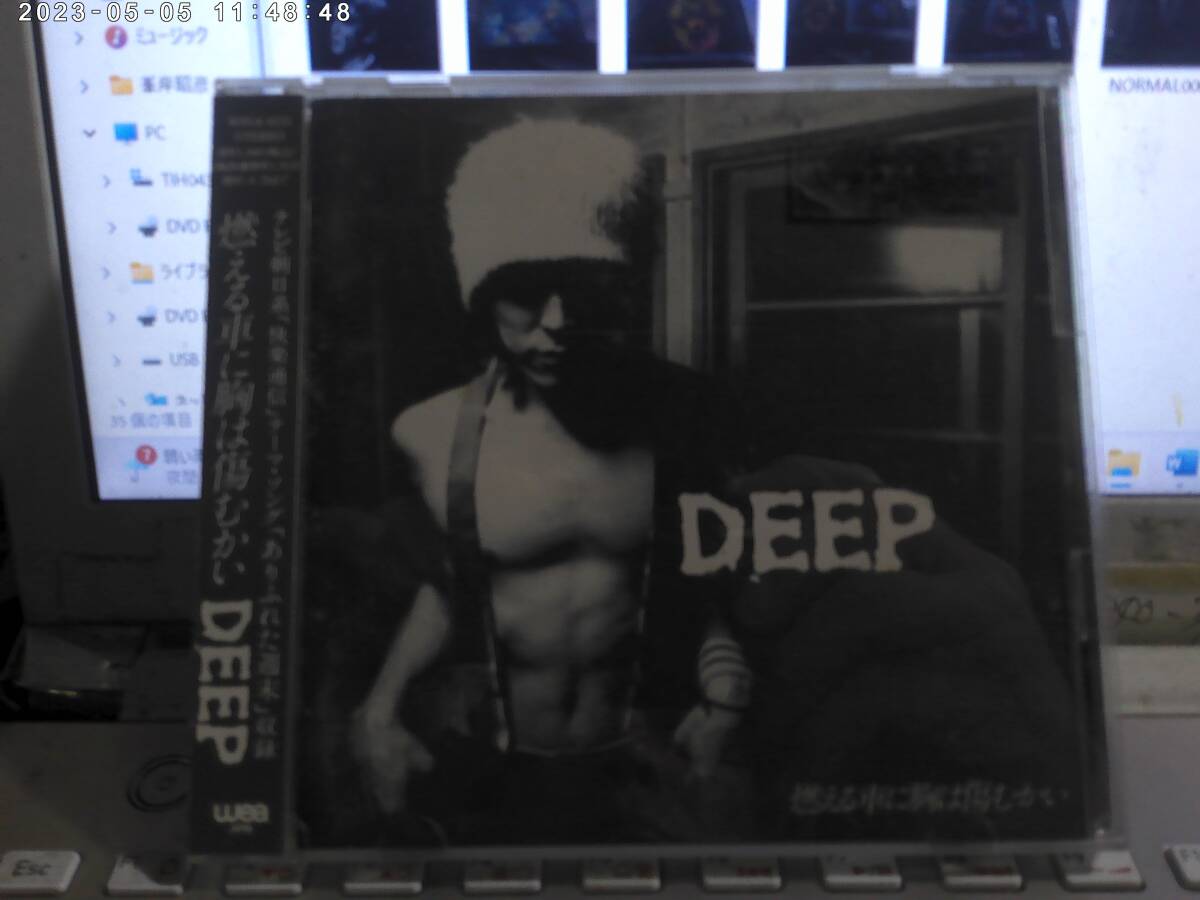 DEEP / 燃える車に胸は傷むかい 帯付CD EX-ANS 鈴木晃二 MONKEY TRICK Ba-Rra VELVET ENDROIT HATE HONEY TIGER LILY lloy FEEL 拍卖