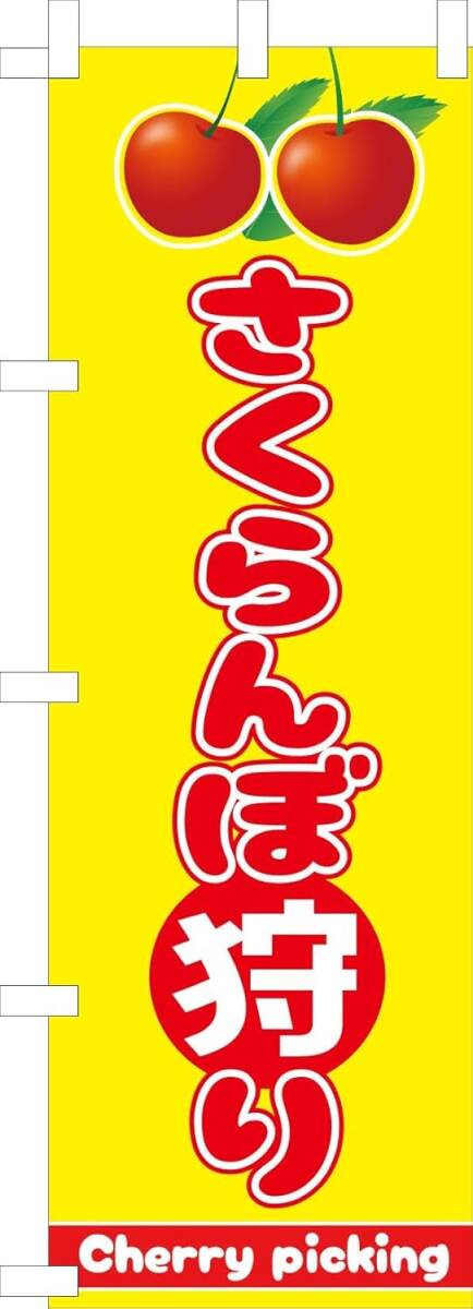 のぼり旗「さくらんぼ狩り のぼり旗 さくらんぼ狩 幟旗 サクランボ狩り Cherry picking Festival さくらんぼフェア A 果物狩り」送料360円拍卖