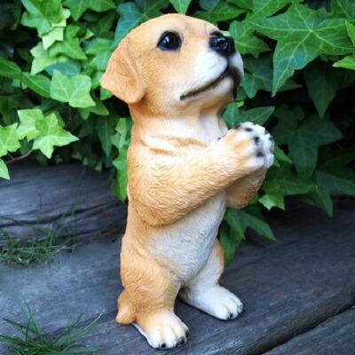 犬の置物 ラブラドールのお願い 7364HT いぬ イヌ 動物 オーナメント ガーデン インテリア 雑貨 置物 ガーデンマスコット拍卖