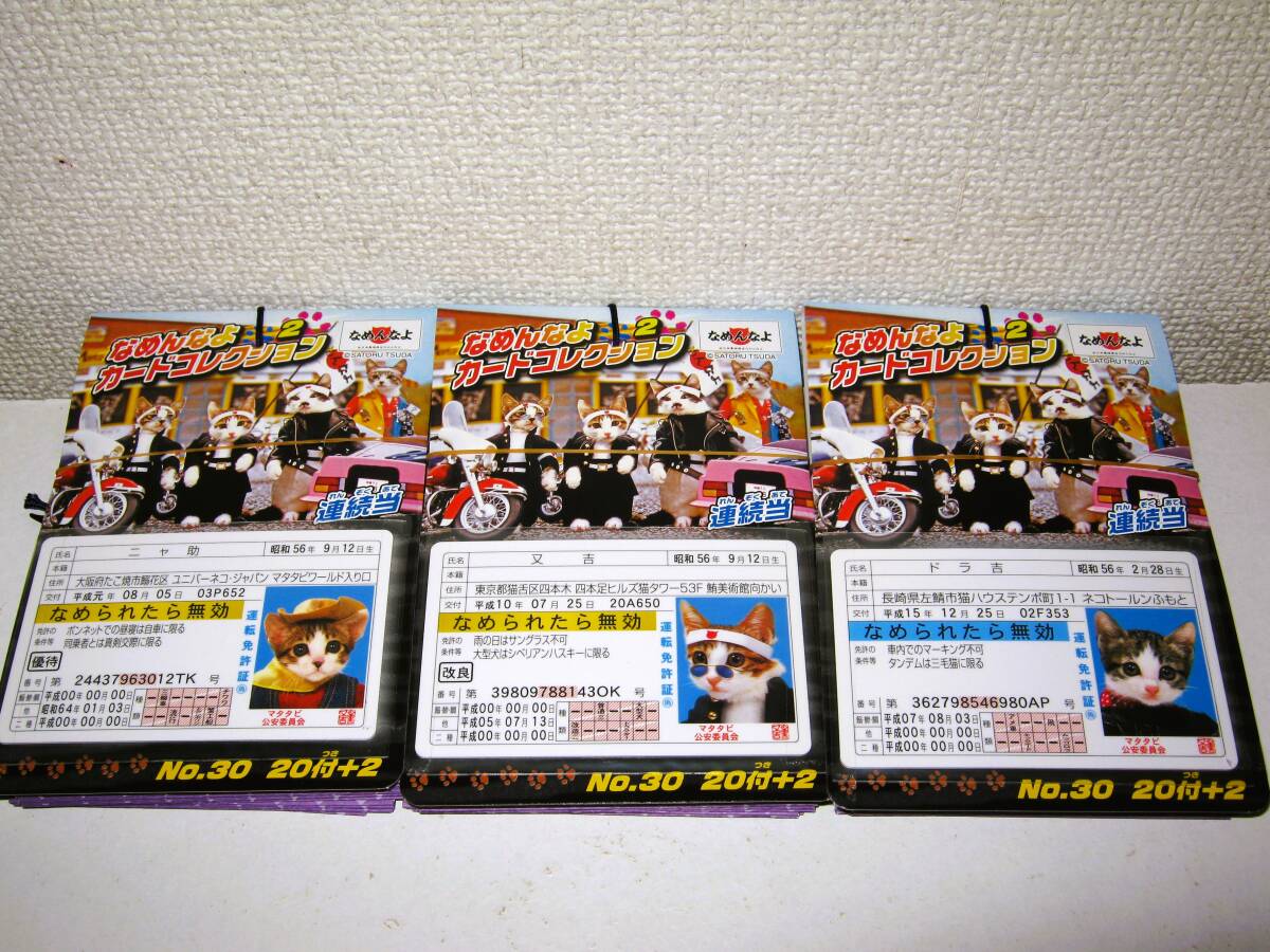 【なめ猫 カードコレクション 66枚 22枚×3組 B】なめんなよ なめねこ 猫 ねこ 可愛い かわいい 癒し 昭和レトロ ブロマイド エンスカイ拍卖