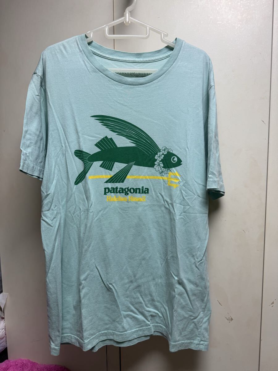 大変希少なプレミア品!★メイドインUSAフライングフィッシュハレイワ仕様パタゴニアTシャツGR★Mサイズ登山トレランマラソントレッキング拍卖