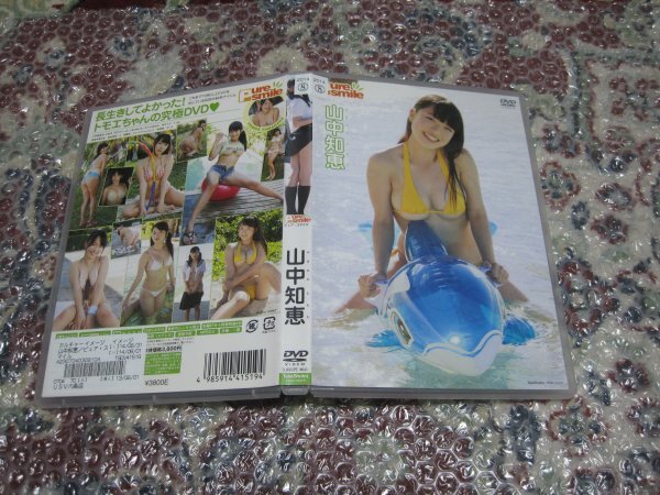 山中知恵 ピュア・スマイル(DVD)拍卖