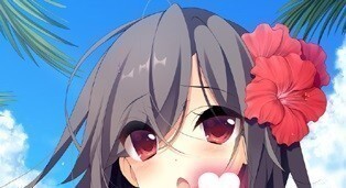 水葬銀貨のイストリア ソフマップ特典 B2タペストリー拍卖