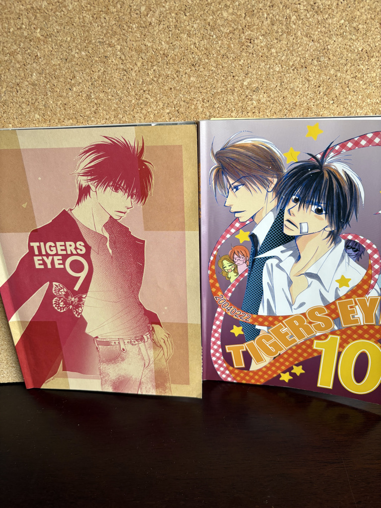 炎の蜃気楼 オンリーイベント TYGERS EYE 9 &10 パンフレット 拍卖