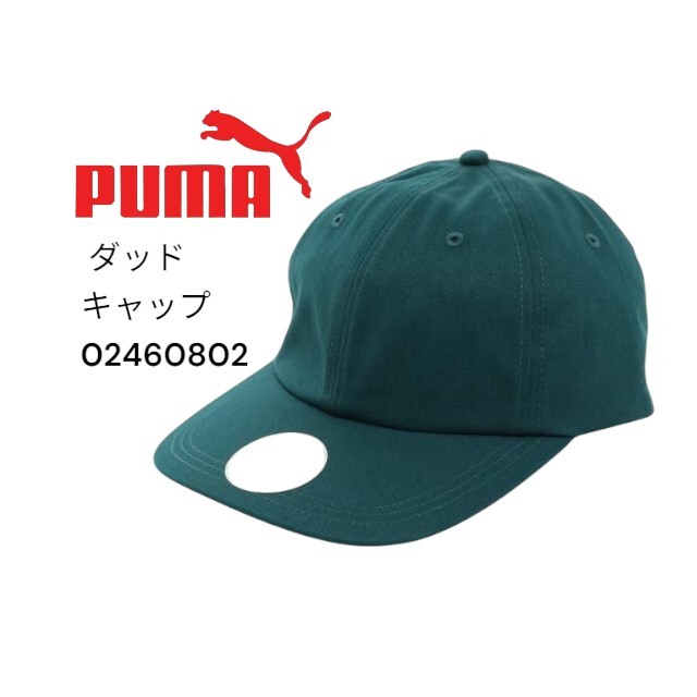 【新品特価!定価2970円が60%OFF!】プーマ(PUMA)スタイルテック ダッドキャップ 02460802/サイズF拍卖