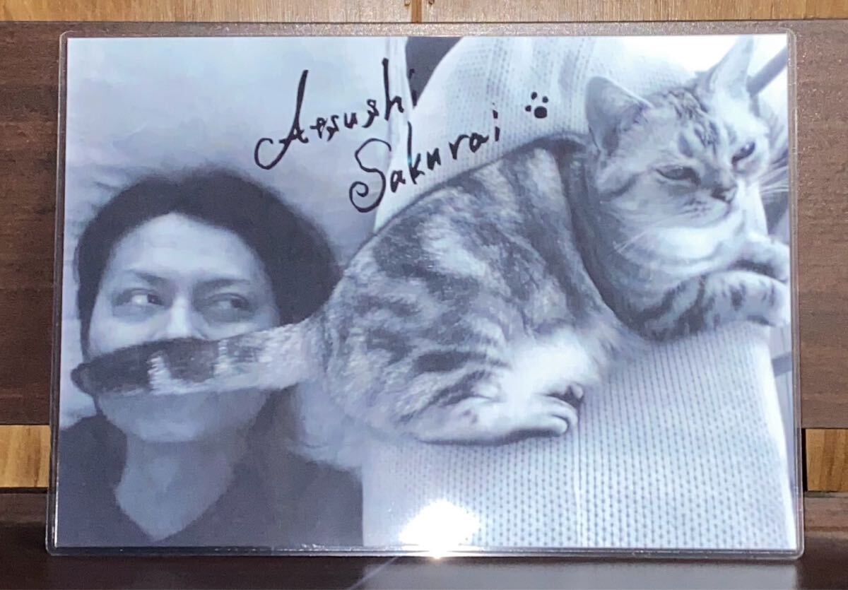 BUCK-TICK 櫻井敦司 ラミネート ハンドメイド品 A4拍卖