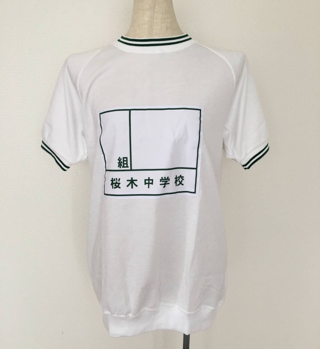 C06中学校指定体操服・デカゼッケン体育着・緑学年・サイズL☆入手不可能品最後の1枚☆拍卖