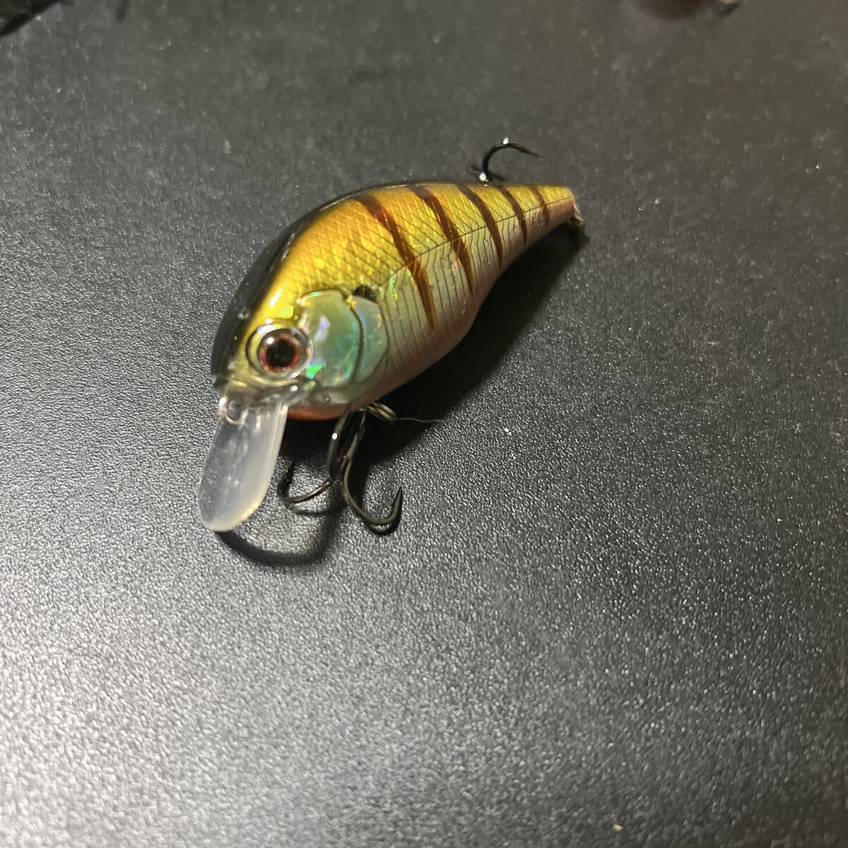 エバーグリーン ゼルク プティ 中古拍卖