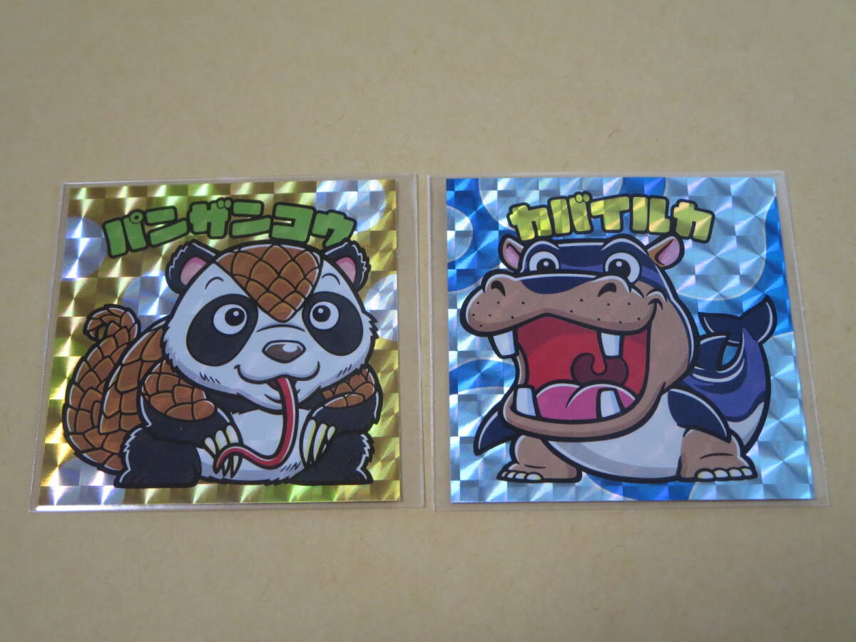 ロ グリーンハウス 大哺乳類展3 48mmシール 2種セット パンザンコウ/カバイルカ 未開封拍卖