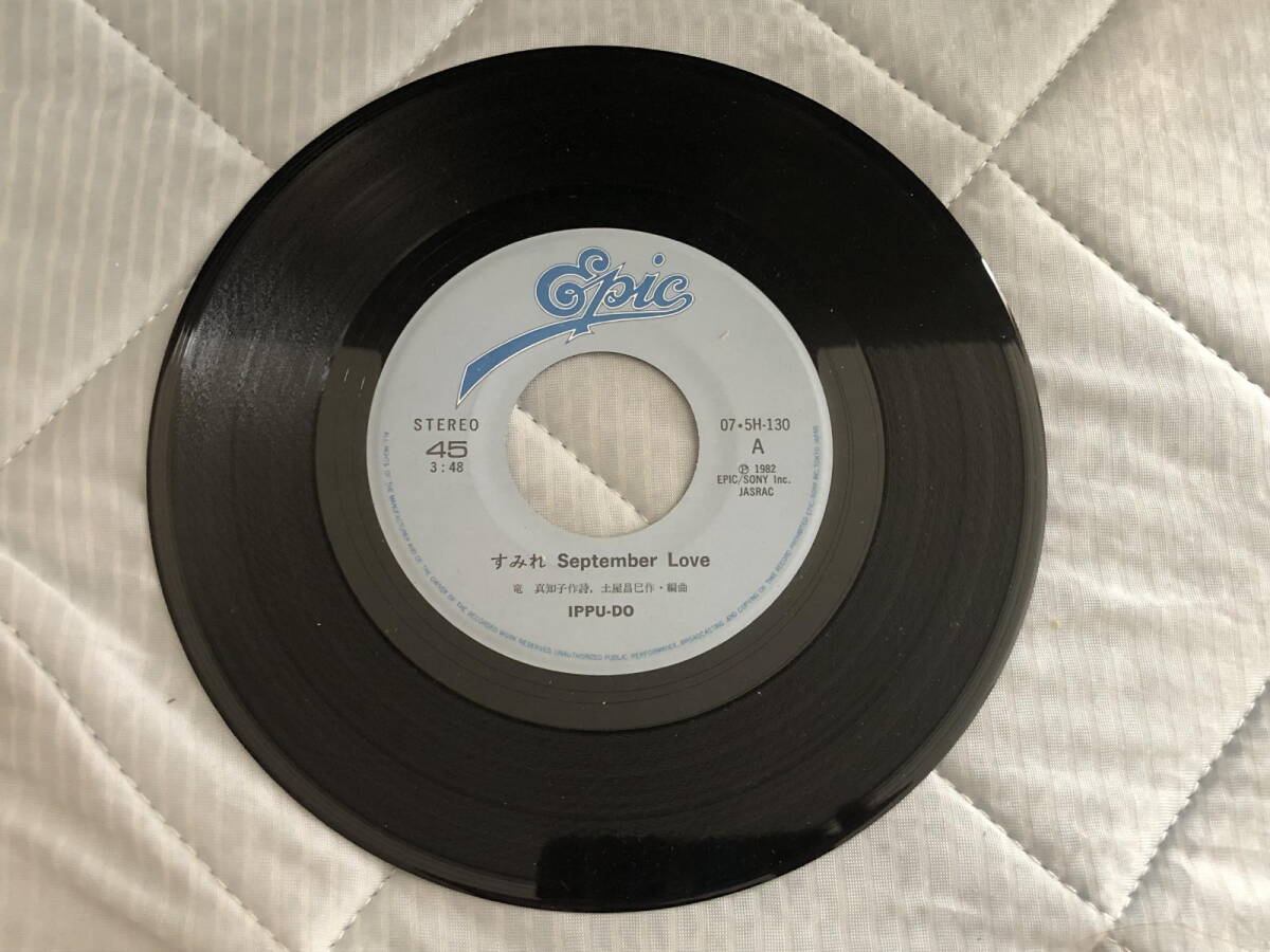 一風堂 すみれ September Love ルナティック・シャドウズ レコード拍卖