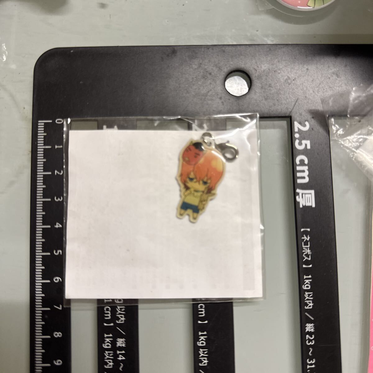 新開隼人(体操着) ファスナーチャーム 「弱虫ペダル in ナンジャタウン」 高回転ガラポン第3弾 ケイデンスあと30回転あげます!賞拍卖