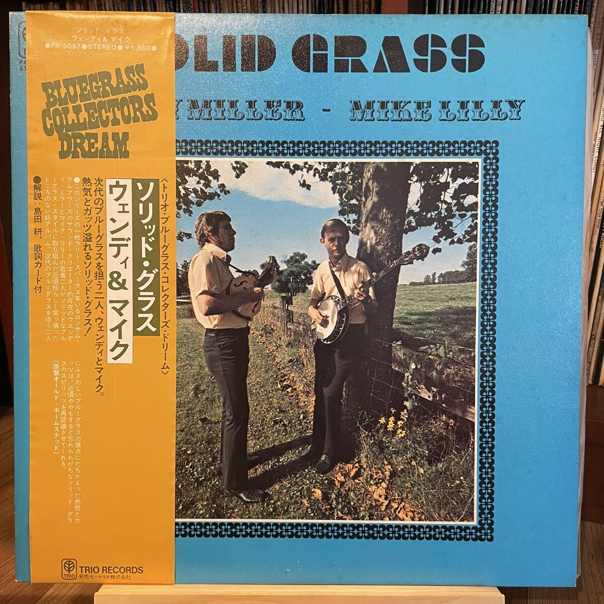 【国内見本盤帯】Wendy Miller - Mike Lilly Solid Grass (1976) Trio PA-3097 bluegrass 歌詞カード拍卖