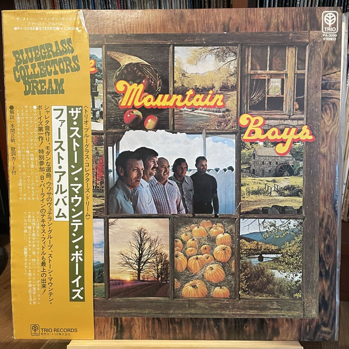 【国内見本盤帯】Stone Mountain Boys Stone Mountain Boys (1976) Trio Records PA-3099 Bluegrass 歌詞カード拍卖