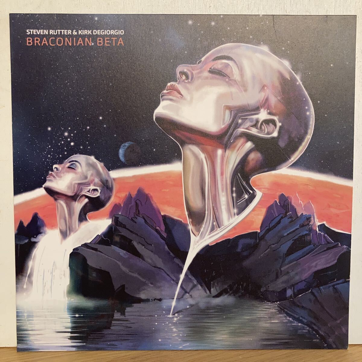 Steven Rutter & Kirk Degiorgio - Braconian Beta拍卖