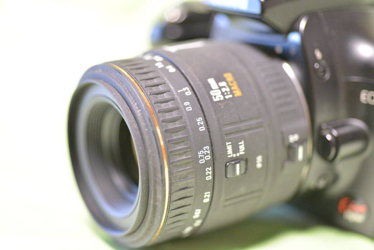SIGMA シグマ 50mm 1:2.8 AF MACRO オートフォーカス マクロ レンズ Canon EFマウント拍卖
