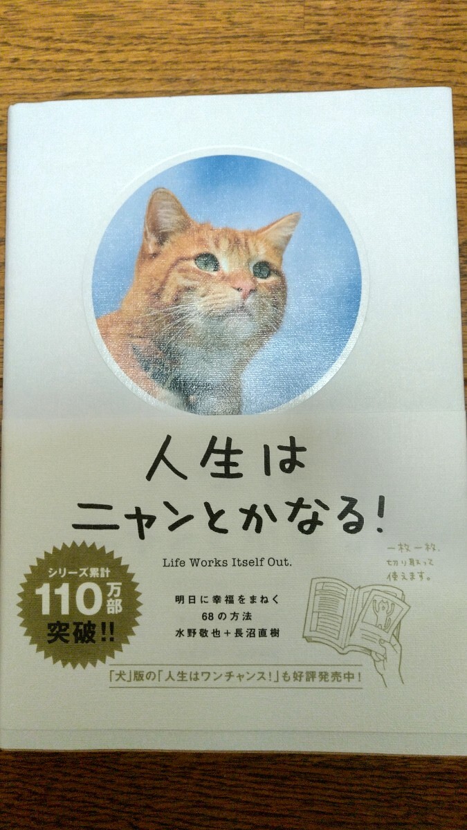 人生はニャンとかなる 明日に幸福をまねく68の方法 文響社拍卖