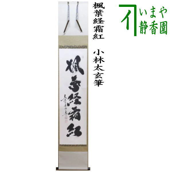 茶道具 掛軸 掛け軸 一行 楓葉経霜紅 小林太玄筆 茶道拍卖