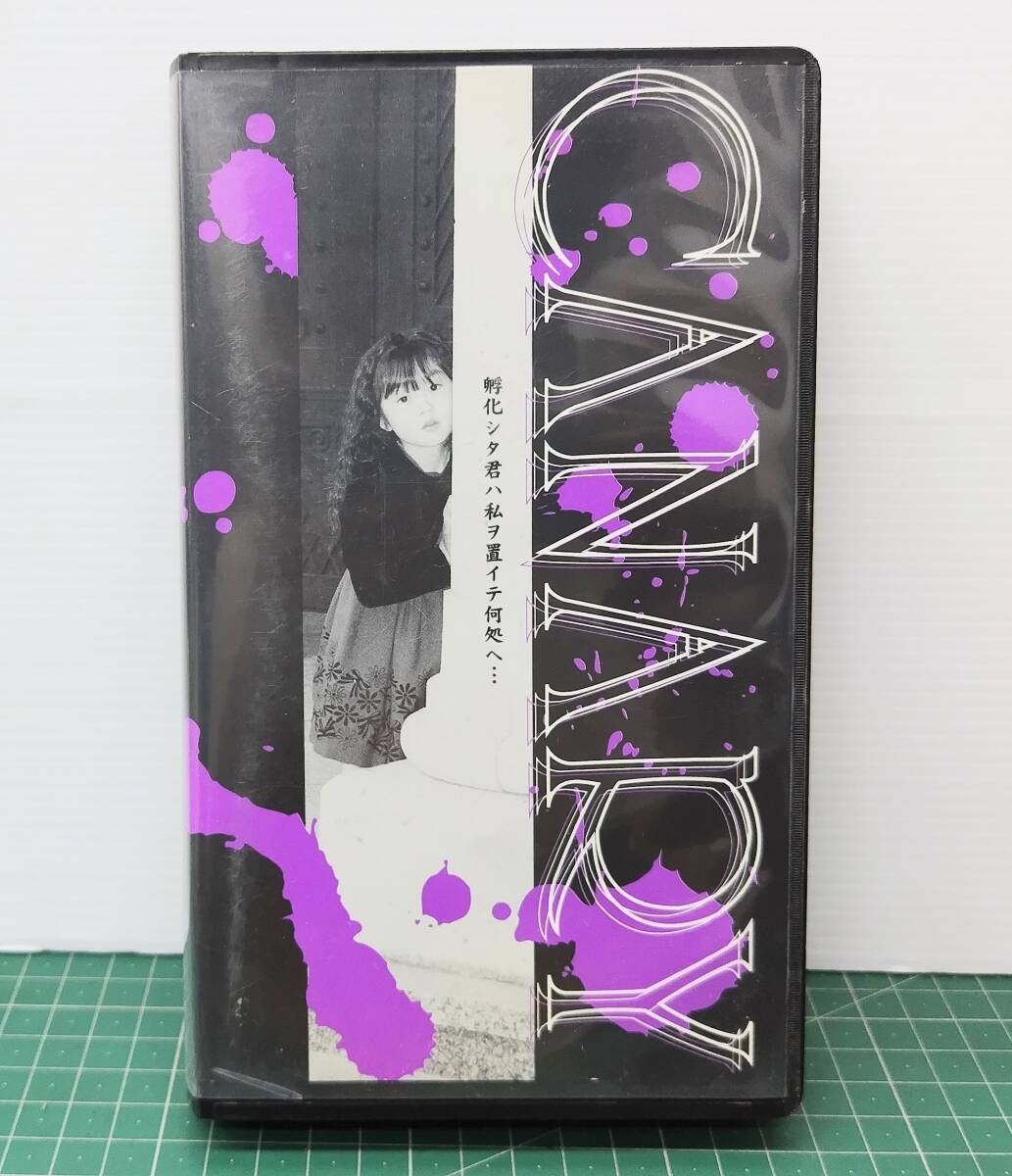 VHS カナリヤ 映像孵化 CANARY LBV-001 死期の影 Misty 麗夜 ビデオ ●H5313拍卖